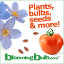 flower bulbs, seed, fruit, vegetables