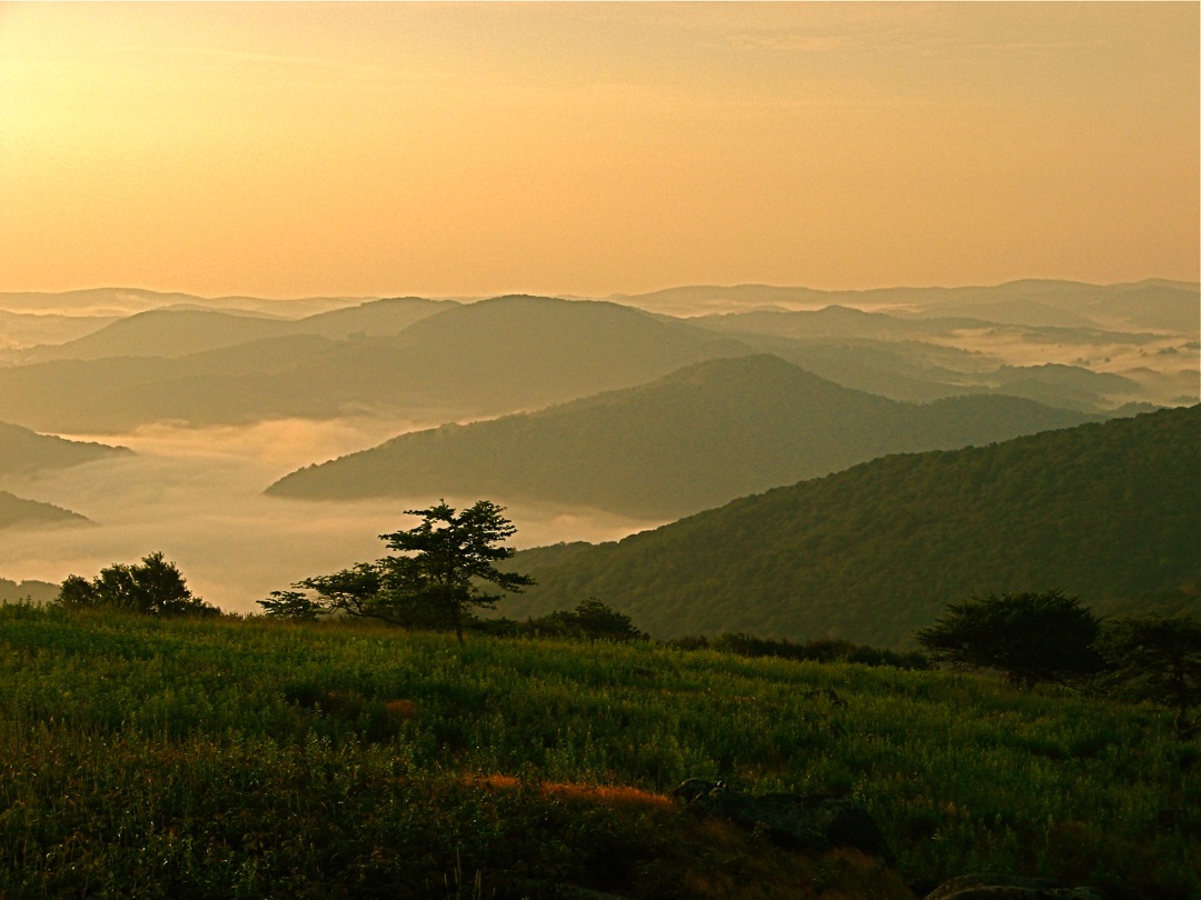 Bald Mountains: Another Unique, Endangered Southern Treasure