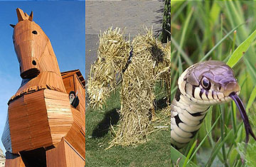 The Trojan Horse, the Straw Dog & the Snake in the Grass