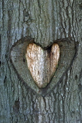 Robbers, Bankers, Bandits, Kings