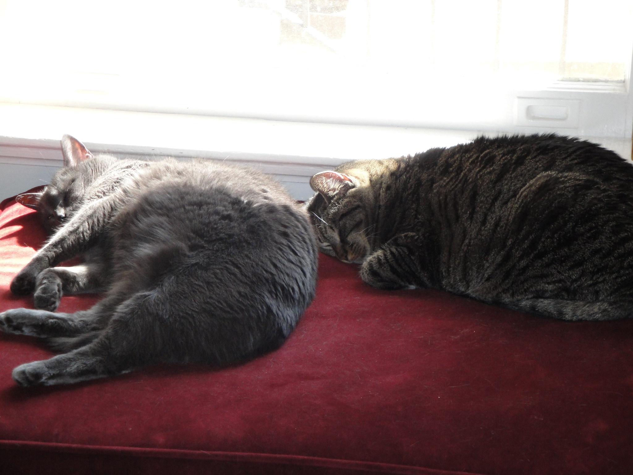 Can (in)action change the world?