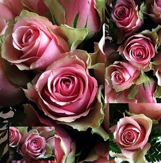 In Praise of Flowers