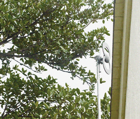 For Your Viewing Pleasure