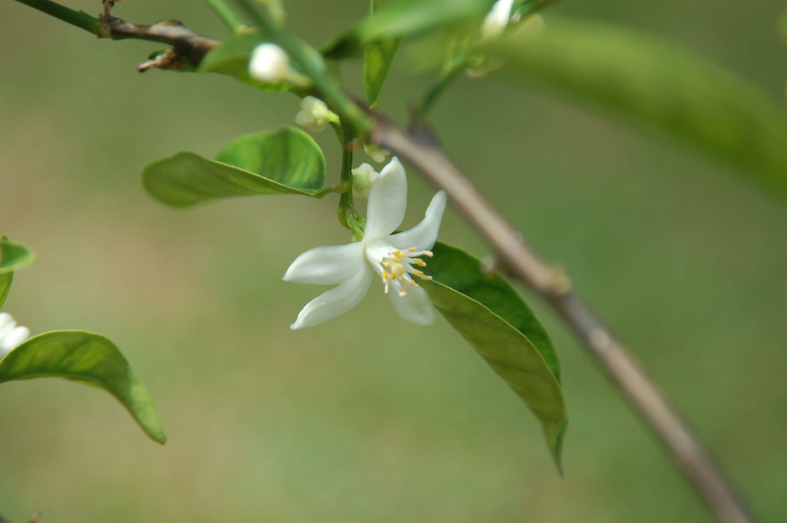 Cutting The Budget: The New Entertainment