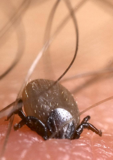 Now I have a real reason to be ticked off