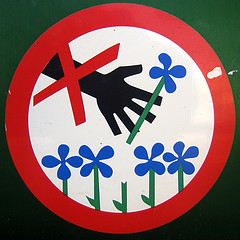 America Is Better Than This