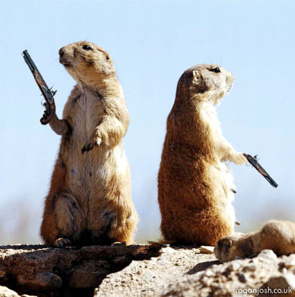 A Modest Proposal for the Enhancement of Civility in Public Discourse