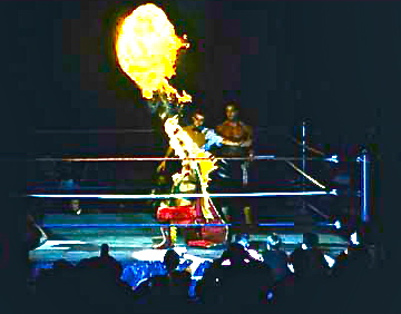 Saturday Night Wrasslin'