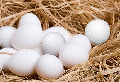 Chickens Oats and Coals