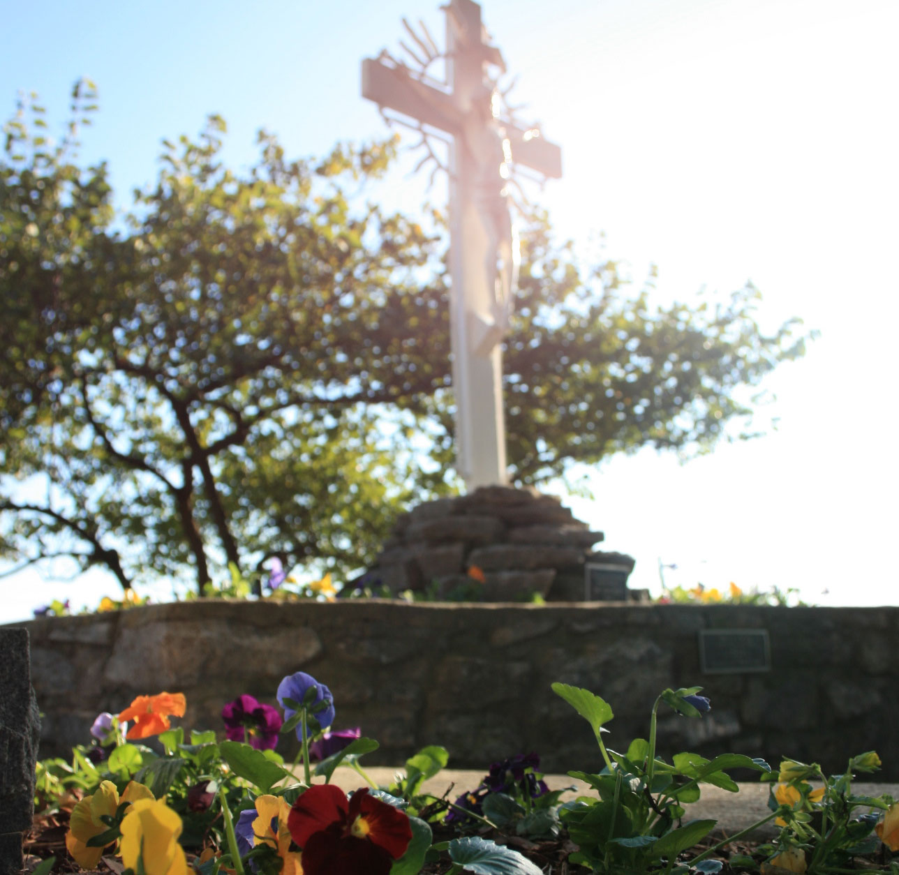 Dominican Sisters of St. Cecilia