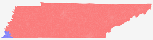 Tennessee Redistricting: Honey Badger BBQ