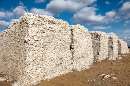 The moment when my foreign wife connected the dots with American 'slavery'