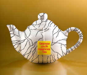 Florida Tea Party locked in pointless battle with CAIR