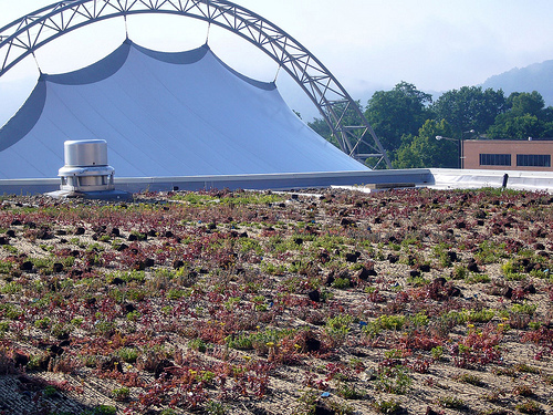 Charlottesville City Council Passes Resolution Opposing War on Iran