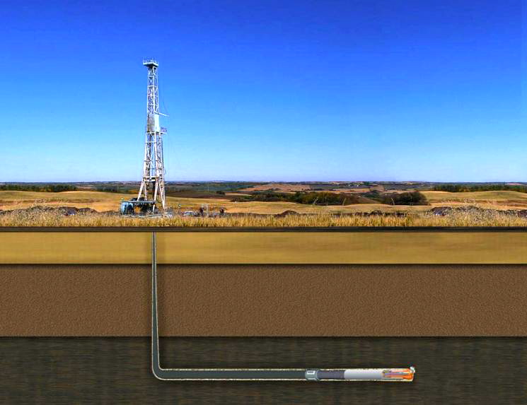 Bad Idea in the Arid West, or, Why Don't We Grow Carrots?