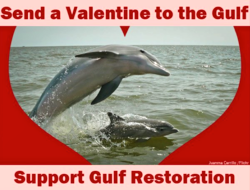 A Valentine for the Gulf