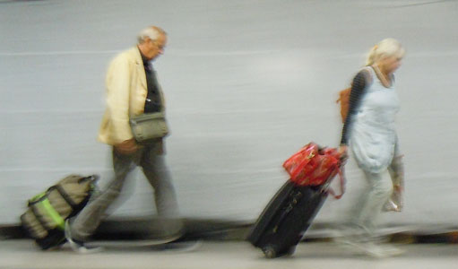 The Miracle of Flight