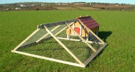 Who’s taking care of the chickens?