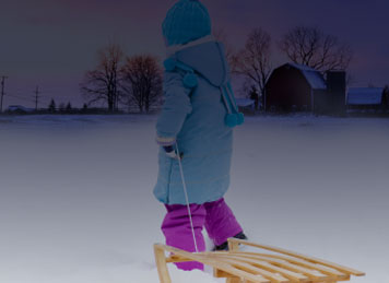 How To Feed Reindeer