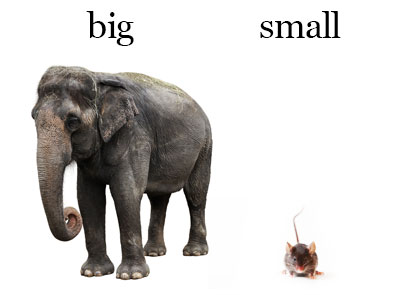 What to Expect from the New GOP