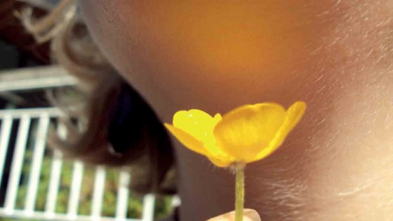 On Buttercups and Pollynoses