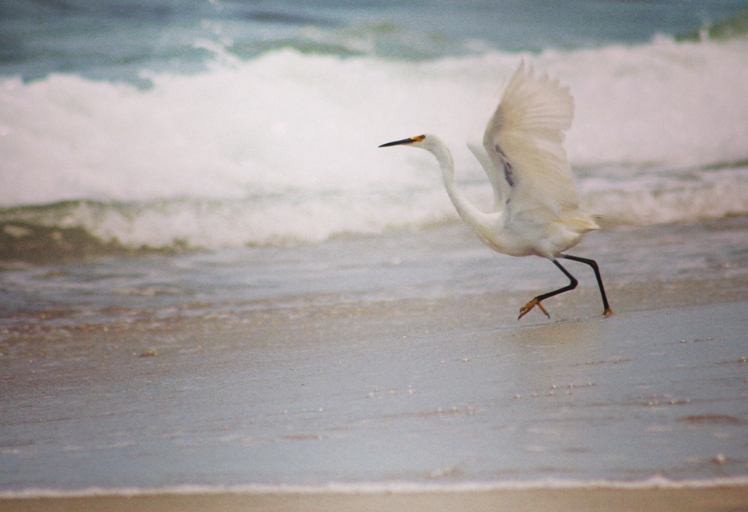 We're all hyperbolists