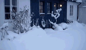 Cold in Other Places