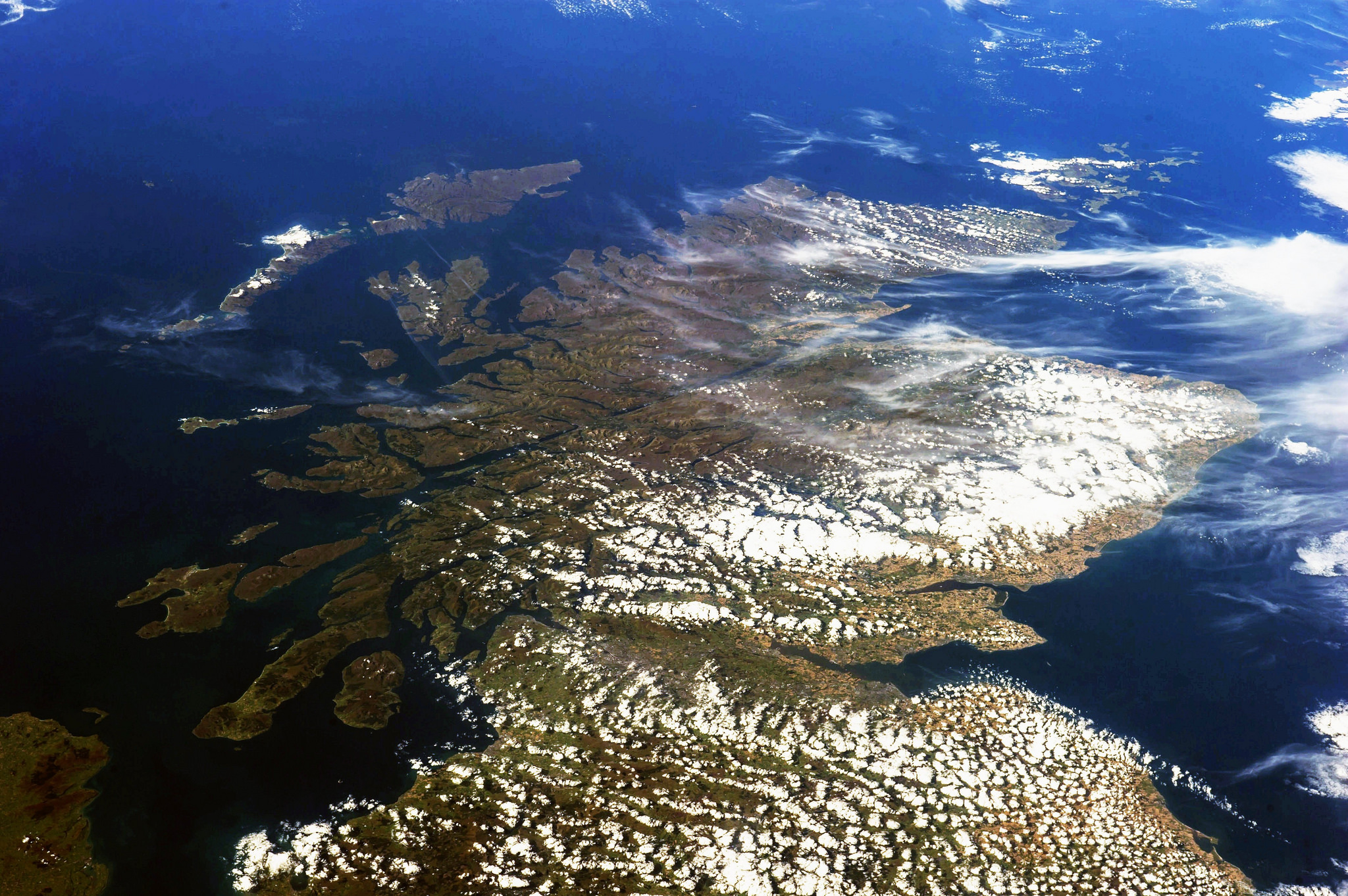 Cotton Ain't Been King For A Long Time, And, Now Neither Is Oil