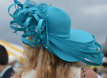 Horses Jumping Over Bushes