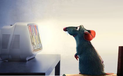 Researchers Say Fox News Causes Brain Damage in Rats