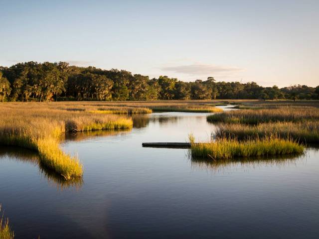 Government agencies and advisory groups need to “do” their diligence