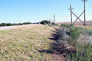 The Barber of Jekyll Island