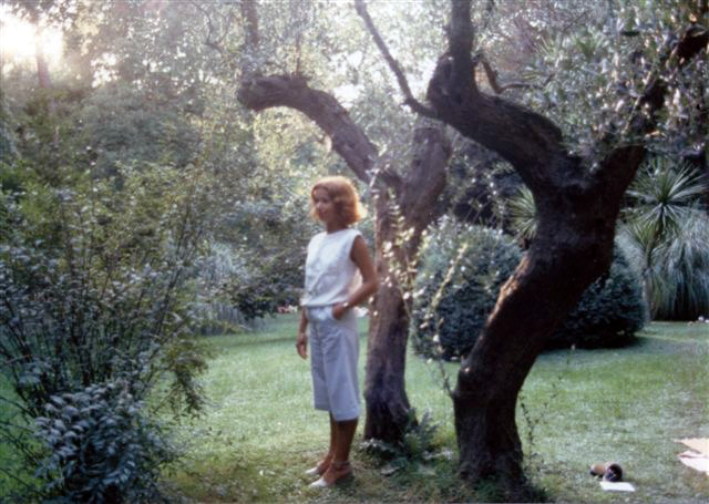 Trying To Make Sense of It All