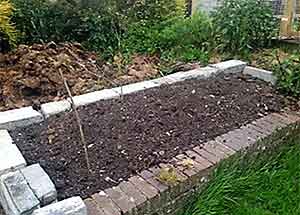 The World’s Most Expensive Vegetables