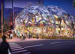 The Chase for Amazon