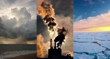 Open letter to Sen. Isakson