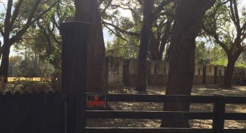 Pawleys Island’s Forgotten Beach