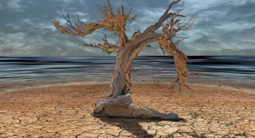 Abandoning science has costly consequences for Americans