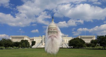 Remembering who runs the U.S. Senate: The “Grandees”