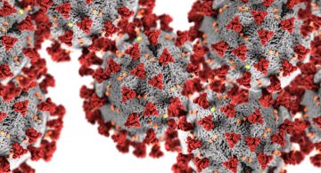 Hope for the Best; Plan for the Worst