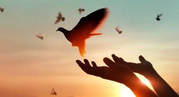 Memorial Day Rethought