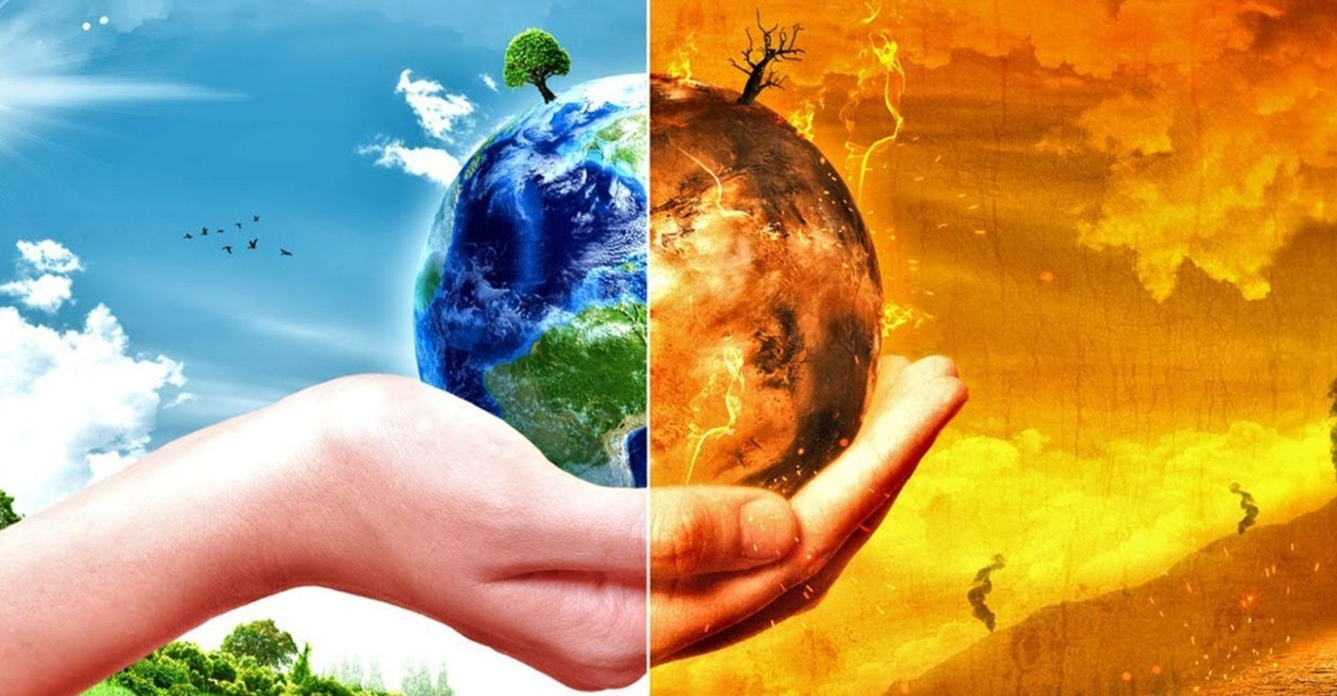 You can help stop climate chaos: 25 ways